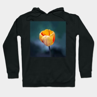 Colorful Tulip Hoodie